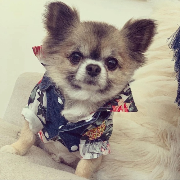 💃💃IM LIVE!!!! LETS SHOP 💃PLEASE LIKE MY LISTING TO BE NOTIFIED WHEN IM LIVE💃 - Picture 12 of 17